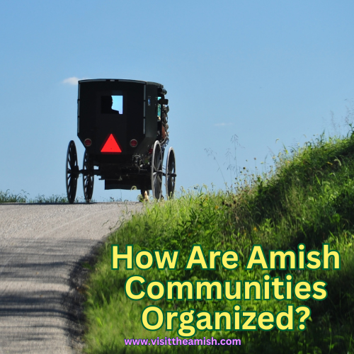 The Structure of Amish Society