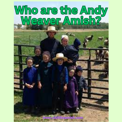 Who are the Andy Weaver Amish
