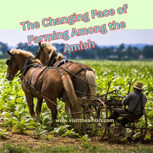 The Changing Face of Farming Among the Amish