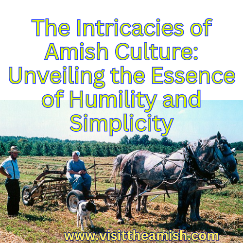 Amish-Culture-