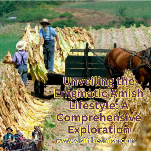 Unveiling the Enigmatic Amish Lifestyle: A Comprehensive Exploration