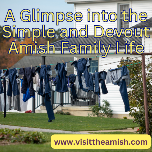 Amish Family Life