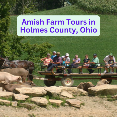Amish Farm Tours in Holmes County, Ohio