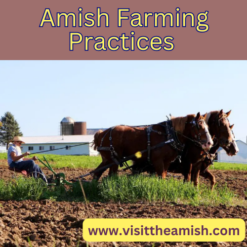 Amish Farming Practices