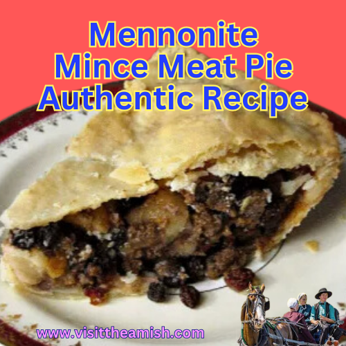 Mennonite Mince Meat Pie