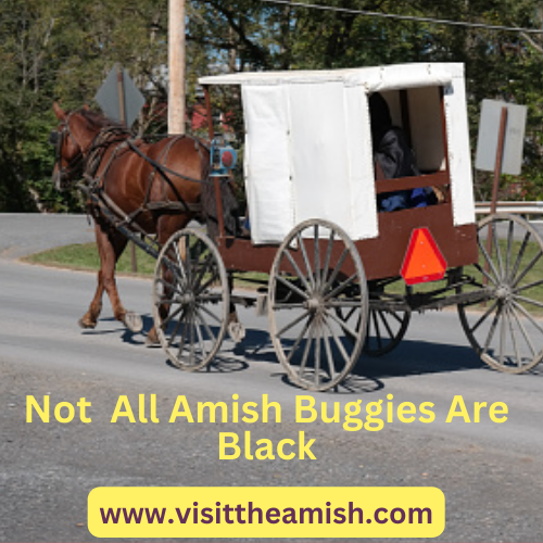 Not-All-Amish-Buggies-Are-Black