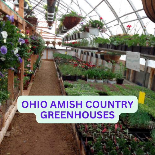 OHIO AMISH COUNTRY GREENHOUSES