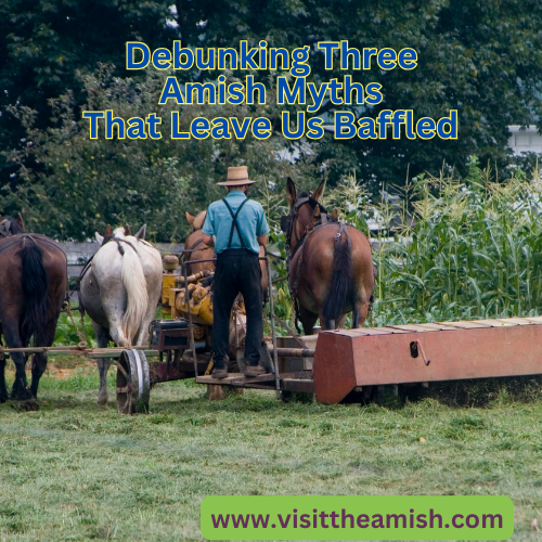 Debunking Three Amish Myths That Leave Us Baffled