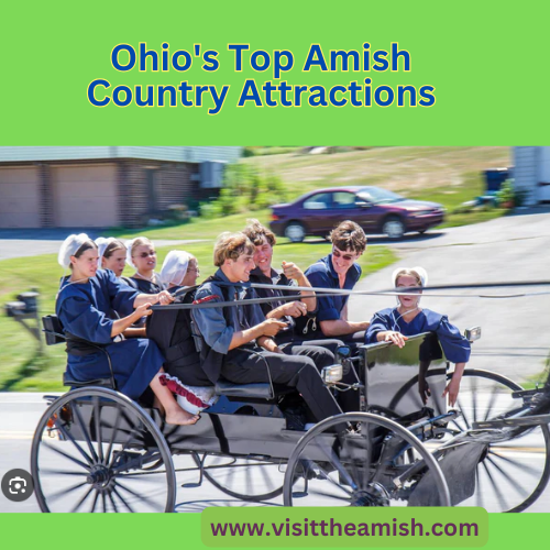The Amish Country in Ohio offers a plethora of one-of-a-kind attractions. Visitors can browse through a variety of shops that sell handcrafted items, visit furniture galleries that showcase heirloom pieces, explore antique malls, and peruse through flea markets.
