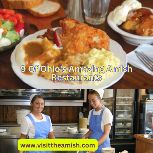 A Delicious Exploration of Ohio's Amish Country Restaurants