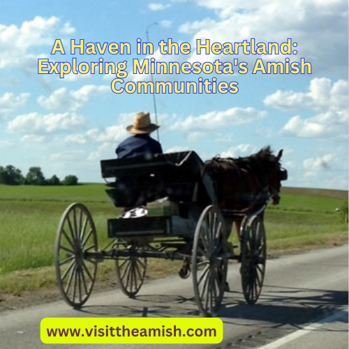 The Harmony area is home to Minnesota’s largest Amish settlements.
