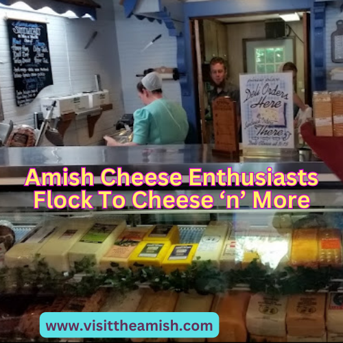 Amish Cheese Enthusiasts Flock To Cheese ‘n’ More
