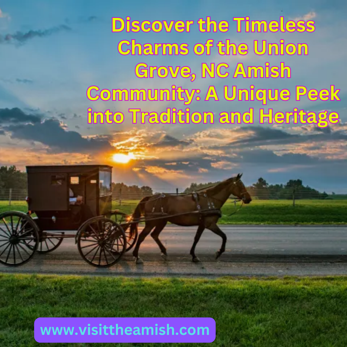 Discover the Timeless Charms of the Union Grove, NC Amish Community A Unique Peek into Tradition and Heritage