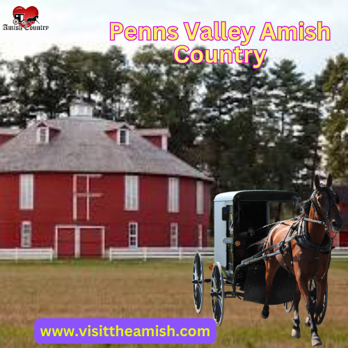 Penn Valley Amish