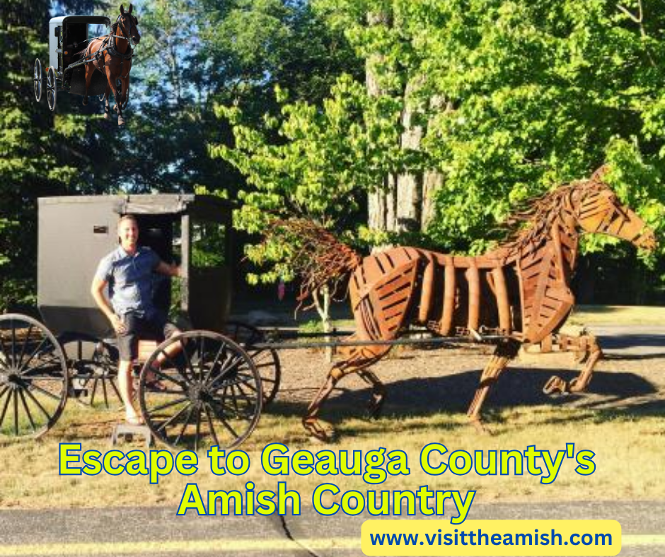 Geauga County Amish