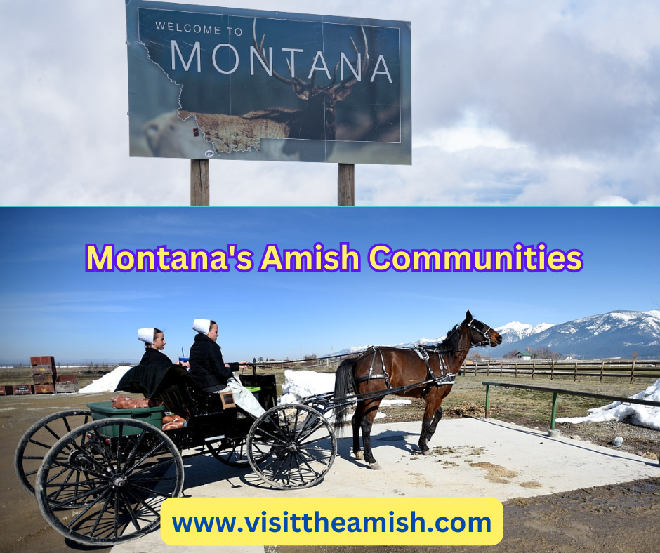 While Montana's Amish communities may be small in number, they are rich in tradition and heritage. Through their steadfast commitment to faith, family, and self-sufficiency, these enclaves serve as guardians of a way of life that is as enduring as the rugged landscapes that surround them. So come, explore the hidden treasures of Montana's Amish country, and discover the timeless beauty that lies within.