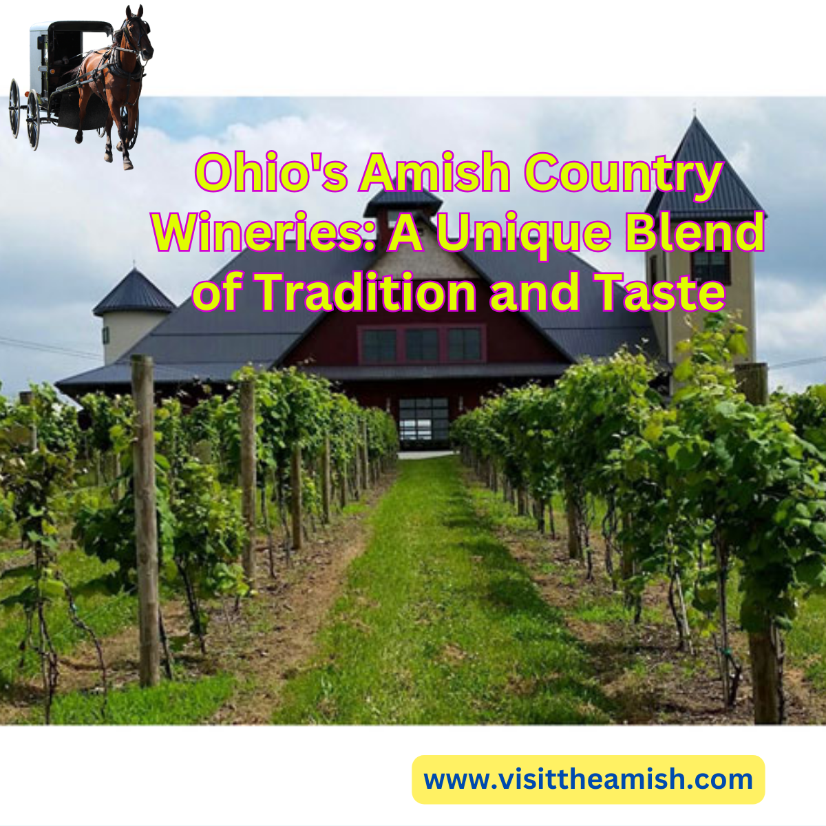 Ohio's Amish Country Wineries A Unique Blend of Tradition and Tast