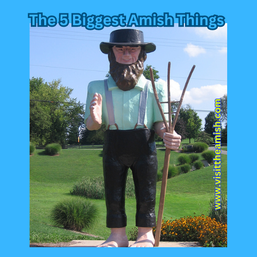 The 5 Biggest Amish Things