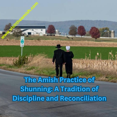 Amish shunning