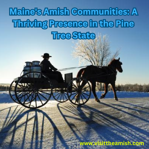 Maine's Amish Communities: A Thriving Presence in the Pine Tree State