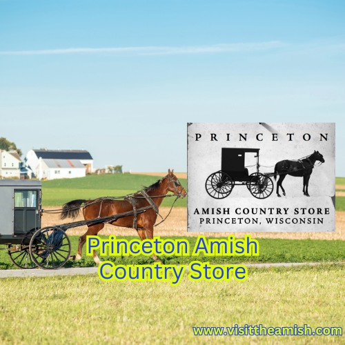 Discovering Tradition and Craftsmanship at the Princeton Amish Country Store, Princeton, WI