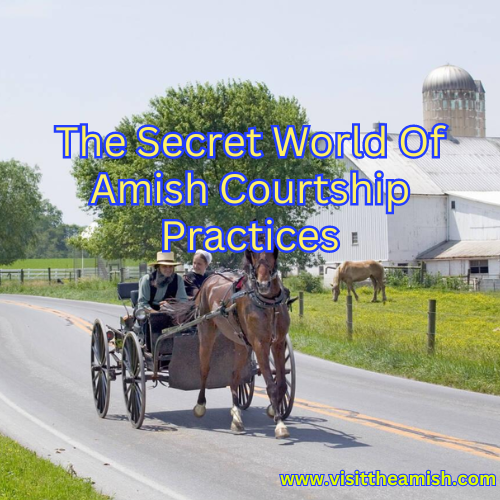 The Secret World Of Amish Courtship Practices