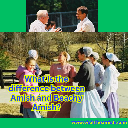 What-is-the-difference-between-Amish-and-Beachy-Amish