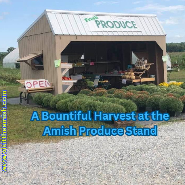 A Bountiful Harvest at the Amish Produce Stand