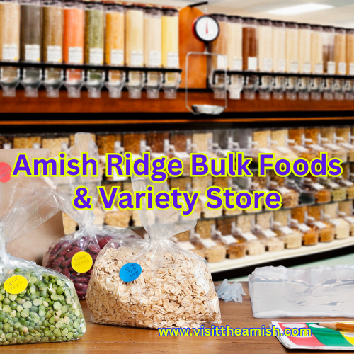 Amish Ridge is a living testament to the enduring spirit of small-town America. It's a place where time seems to slow down, where the pace of life is measured in friendly conversations and the satisfaction of a well-stocked pantry. For many, it's a cherished part of their lives, a place where memories are made and traditions are upheld.