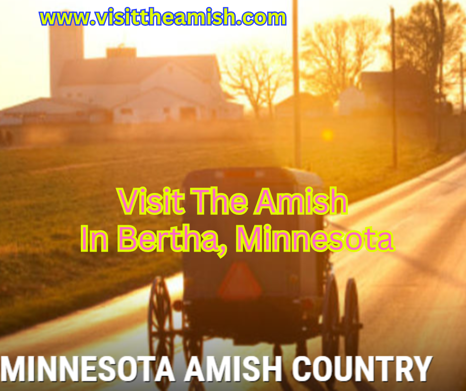 Visit The Amish In Bertha, Minnesota