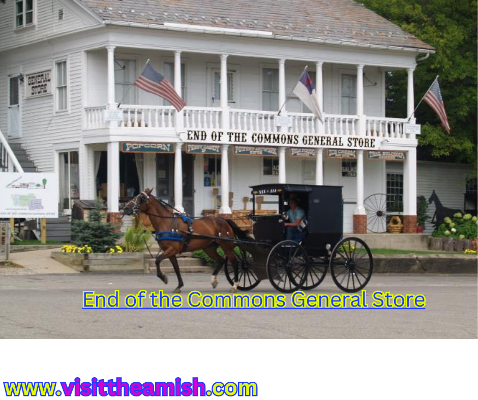 End of the Commons General Store