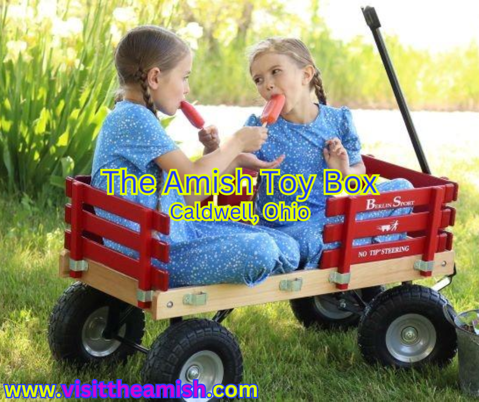 Amish Toy Box