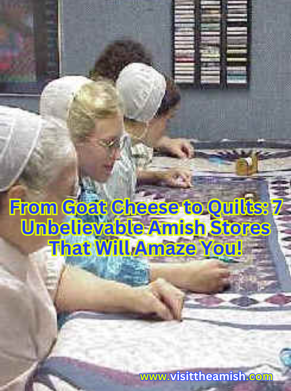 rom Goat Cheese to Quilts 7 Unbelievable Amish Stores That Will Amaze You