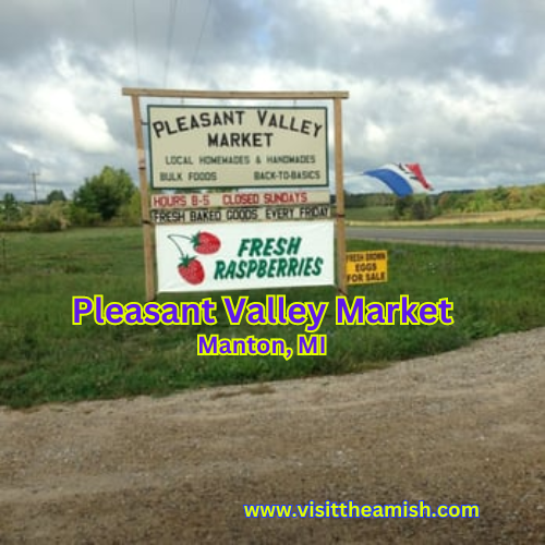 Pleasant Valley Market Manton, M