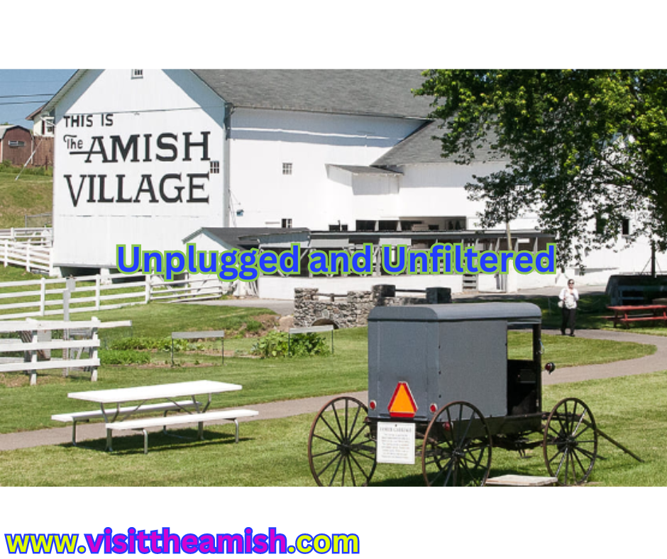 Unplugged and Unfiltered Experience the Astonishing Simplicity of Amish Life in Ronks, PA!.png