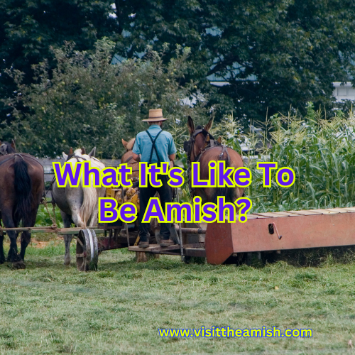 What It's Like To Be Amish