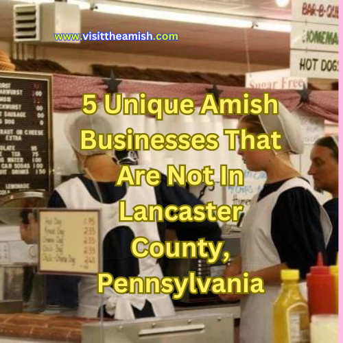 5 Unique Amish Businesses That Are Not In Lancaster County, Pennsylvania.