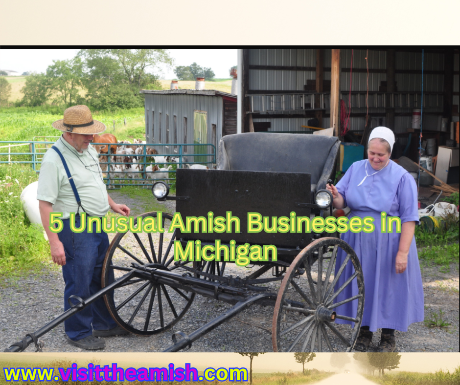 5 Unusual & Unexpected Amish Businesses In Michigan