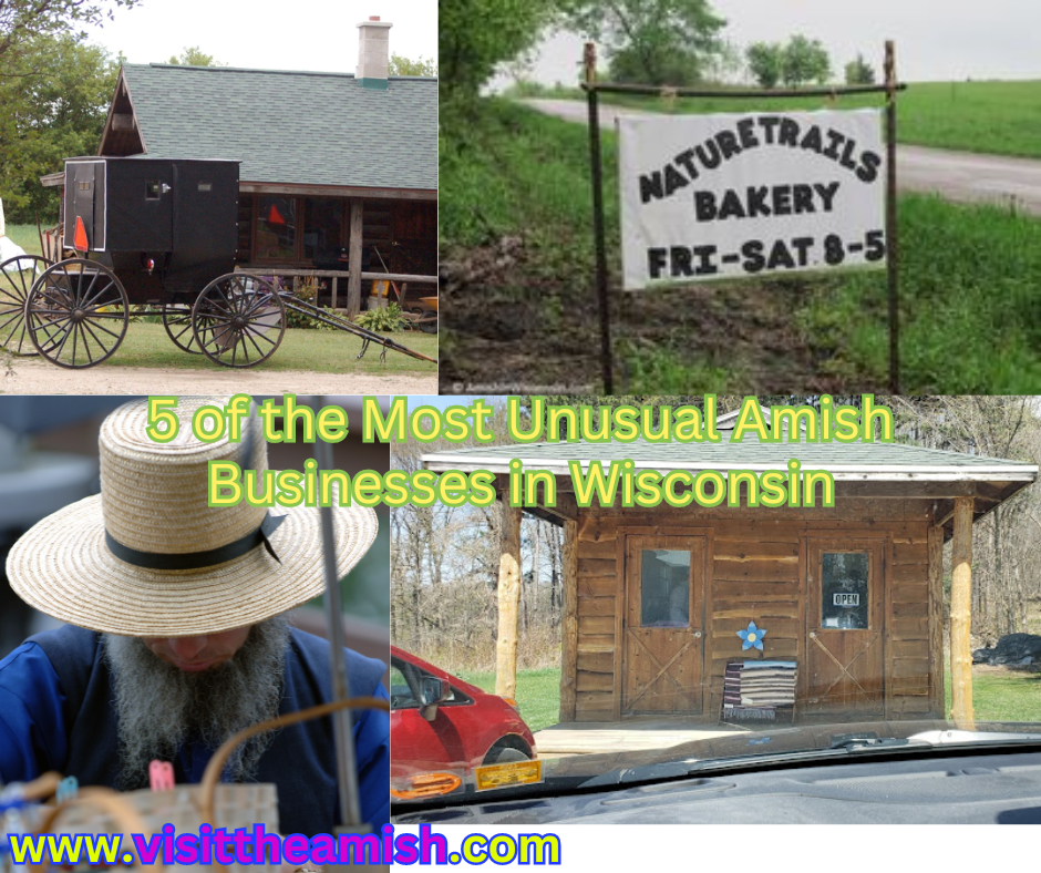 5 of the Most Unusual Amish Businesses in Wisconsin