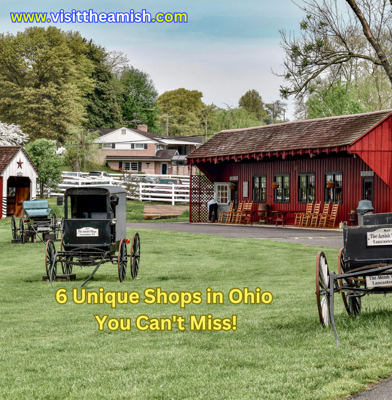 Unlock the Secrets of Amish Craftsmanship: 6 Unique Shops in Ohio You Can't Miss!