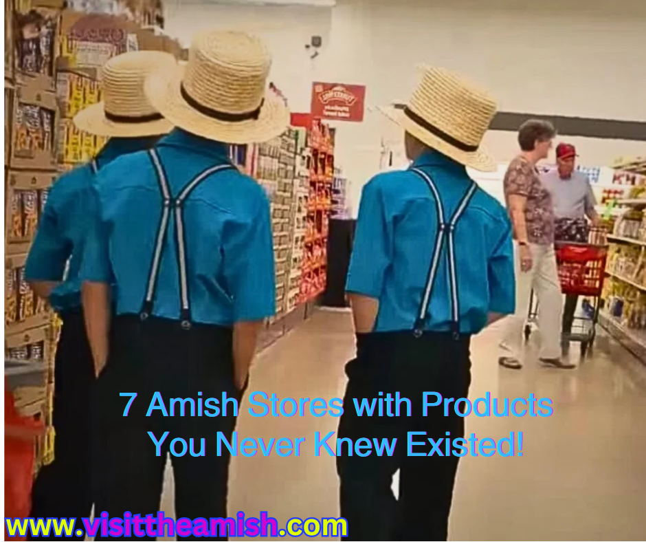 7 Amish Stores with Products You Never Knew Existed