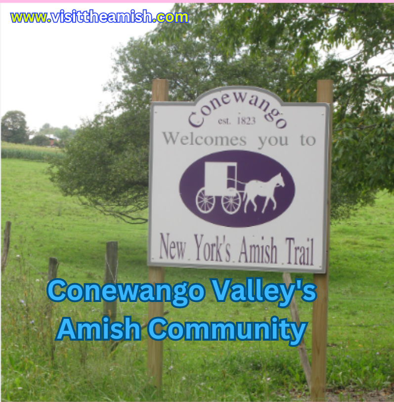 Conewango Valley's Amish Community