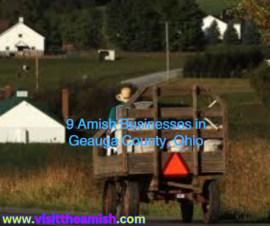 From Cheese to Crafts 9Must-Visit Amish Businesses in Geauga County You Can't Miss!.png