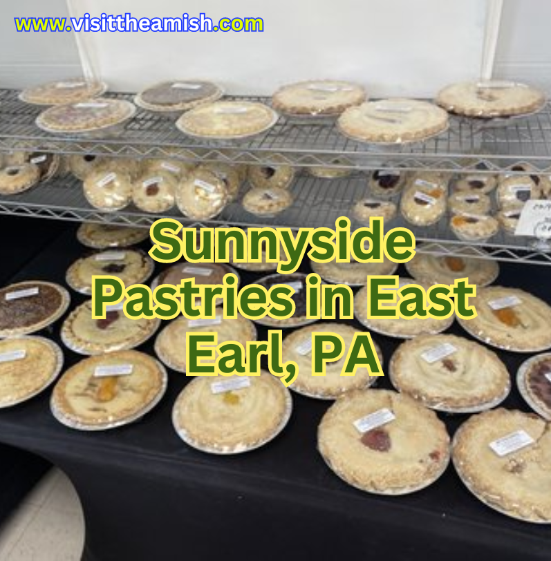 Sunnyside Pastries is the genuine Lancaster County experience that you do not want to miss. Amish owned and operated for several generations, this bakery will leave you happy and satisfied with its array of fresh baked goods.