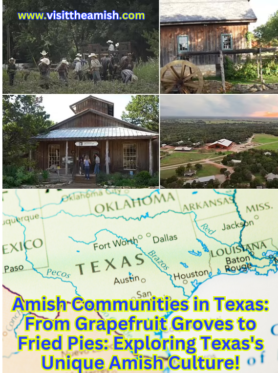 Amish Communities in Texas: From Grapefruit Groves to Fried Pies: Exploring Texas's Unique Amish Culture!