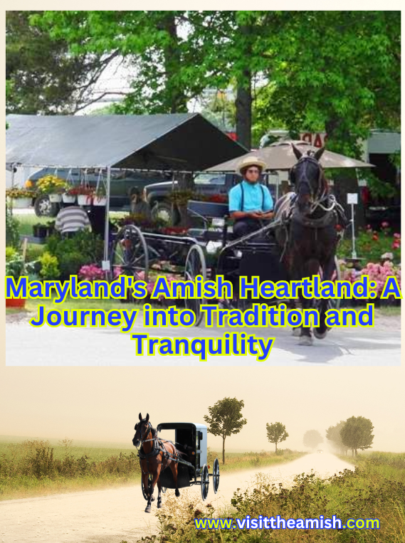 Maryland's Amish Heartland A Journey into Tradition and Tranquility