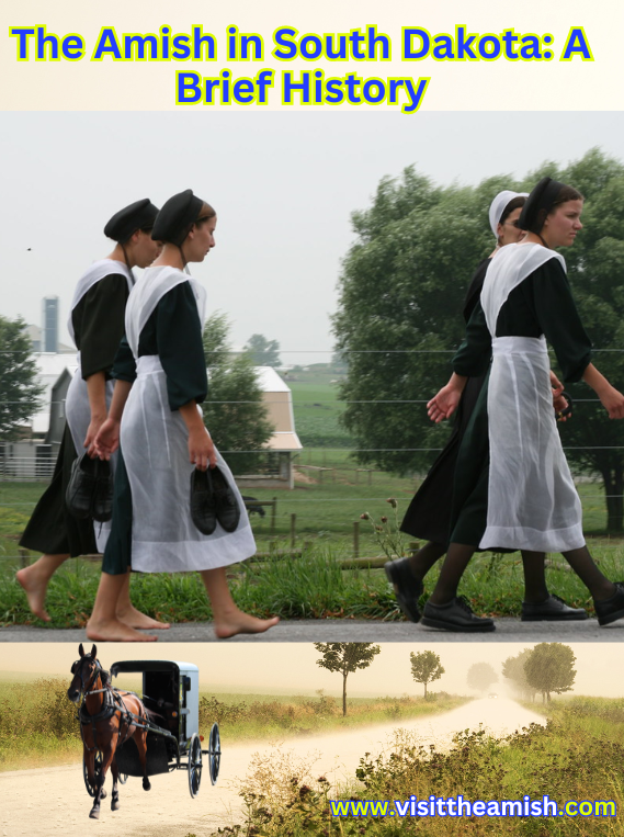 The Amish in South Dakota A Brief History