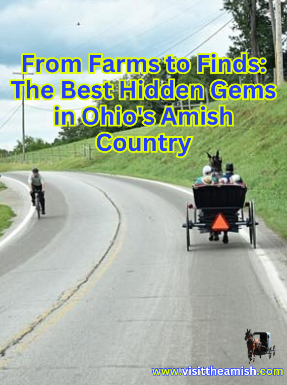 From Farms to Finds The Best Hidden Gems in Ohio's Amish Country