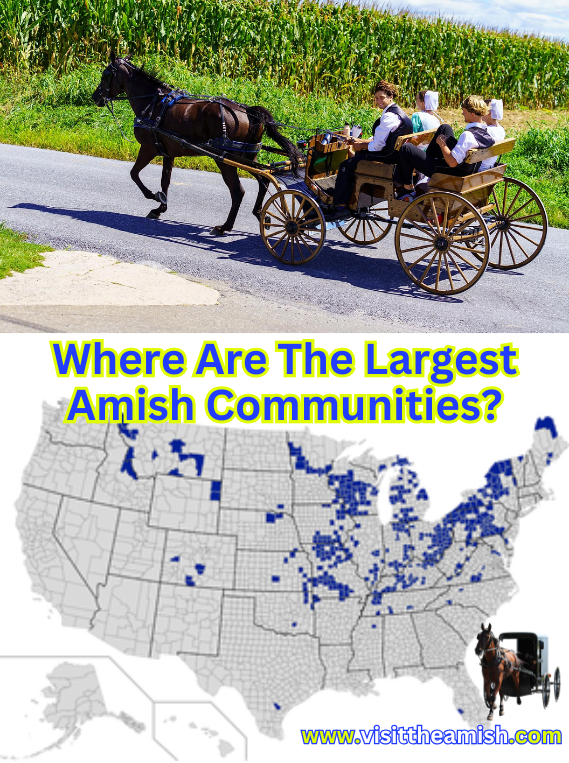 Where Are The Largest Amish Communities?