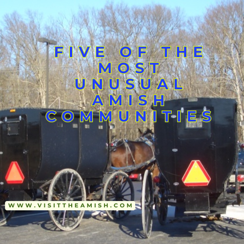 Five Of The Most Unusual Amish Communities